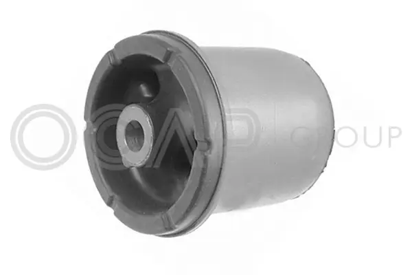 Bushing, axle beam (1216184)
