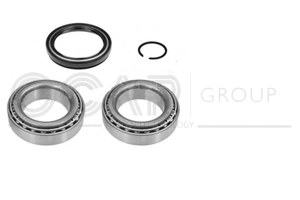Wheel Bearing Kit (6120448)