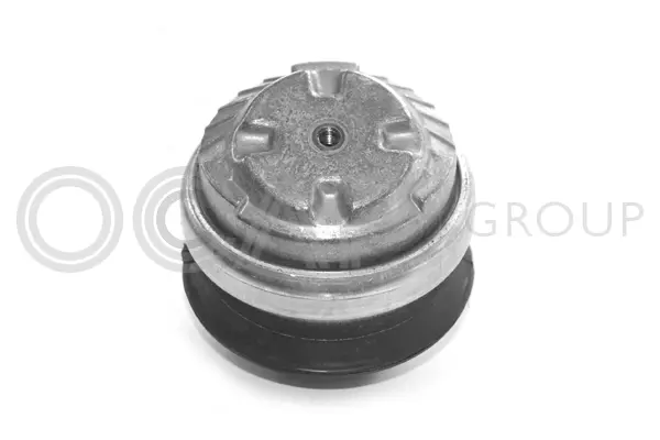 Mounting, engine (1225319)