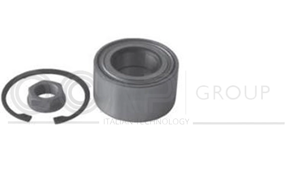 Wheel Bearing Kit (6120366)