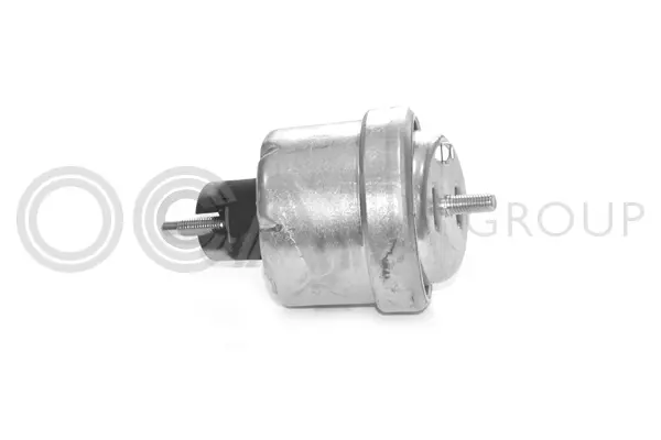 Mounting, engine (1225425)