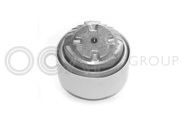 Mounting, engine (1225298)