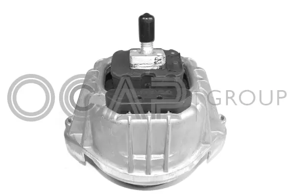 Mounting, engine (1226088)
