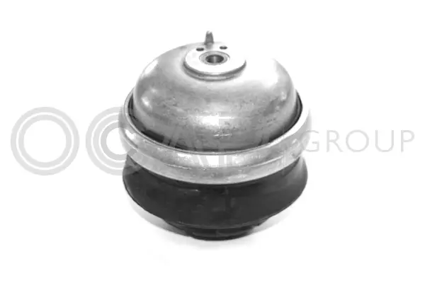 Mounting, engine (1225260)