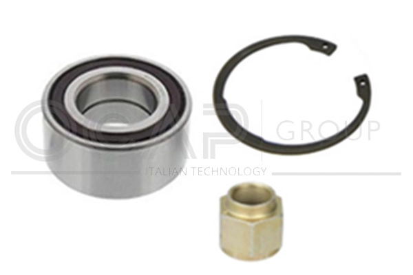 Wheel Bearing Kit (6120127)