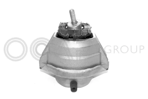 Mounting, engine (1225132)