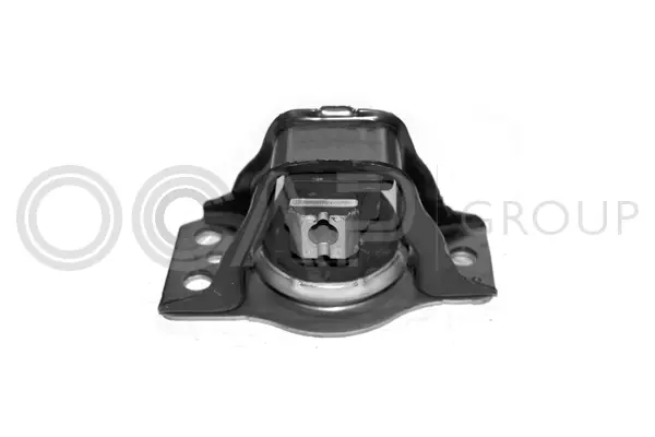 Mounting, engine (1225730)