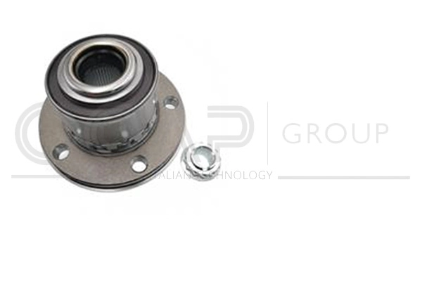 Wheel Bearing Kit (6120261)