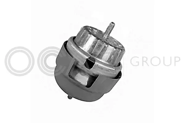 Mounting, engine (1226082)