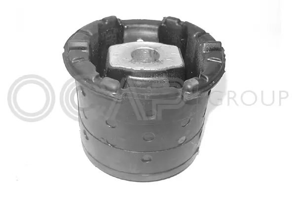 Bushing, axle beam (1215571)