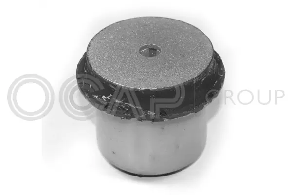 Bushing, axle beam (1216150)