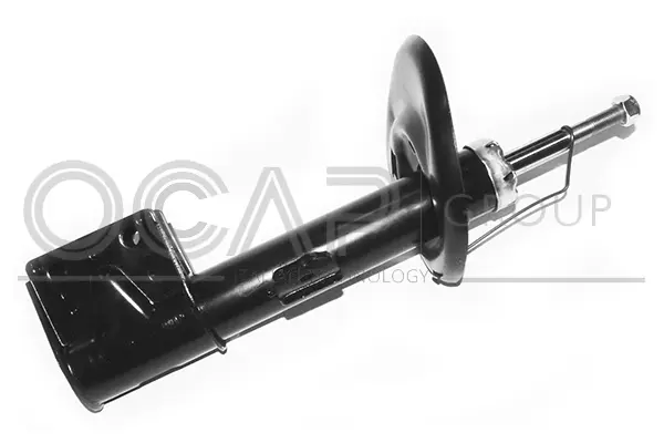Shock Absorber (82641FL)