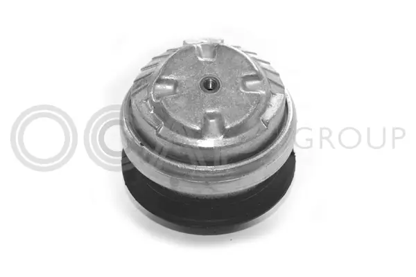Mounting, engine (1225296)