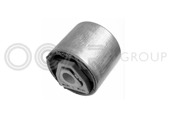Mounting, control/trailing arm (1215255)