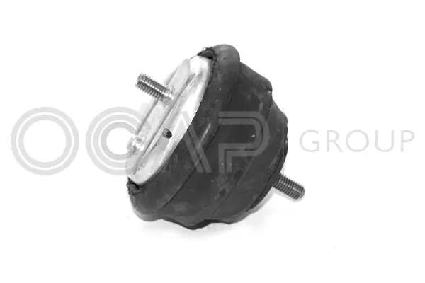Mounting, engine (1225106)
