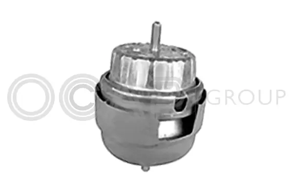 Mounting, engine (1226079)