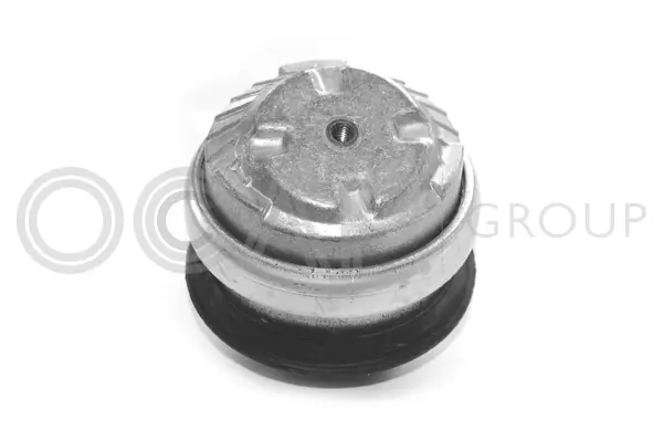 Mounting, engine (1225313)