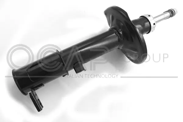 Shock Absorber (82077RL)