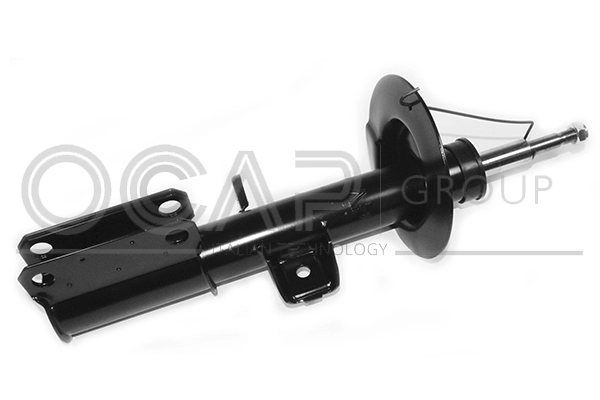 Shock Absorber (82374FR)