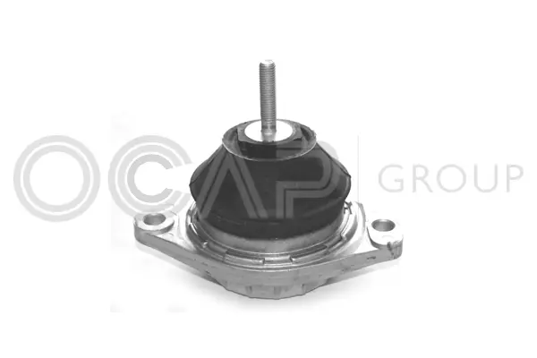 Mounting, engine (1225020)