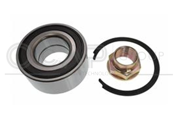 Wheel Bearing Kit (6120160)