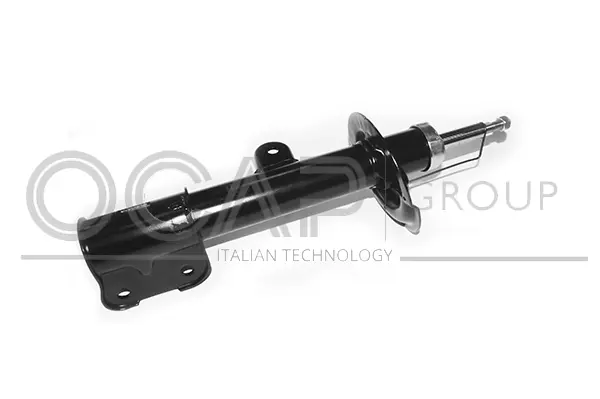Shock Absorber (82090FL)