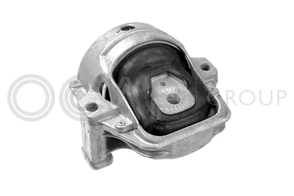 Mounting, engine (1226075)