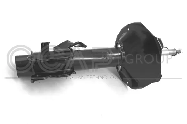 Shock Absorber (82427FR)