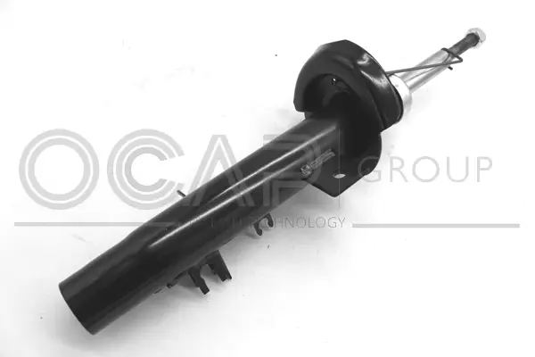 Shock Absorber (82133FR)
