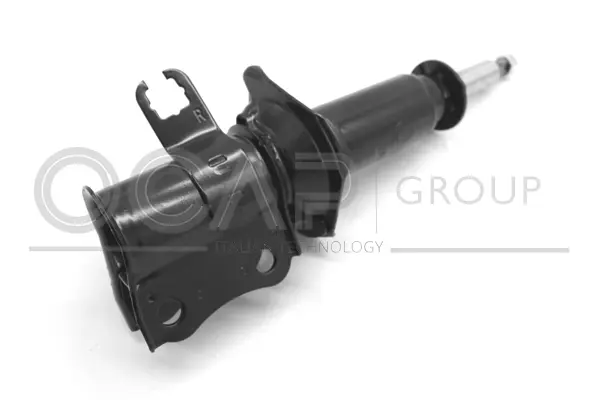 Shock Absorber (80297FR)