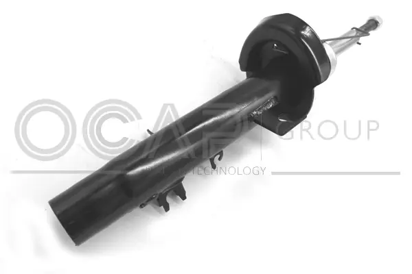 Shock Absorber (82276FR)