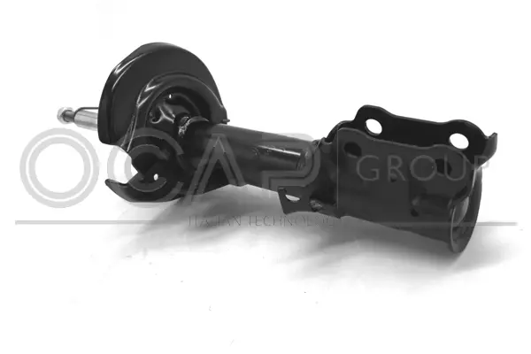 Shock Absorber (82218FR)