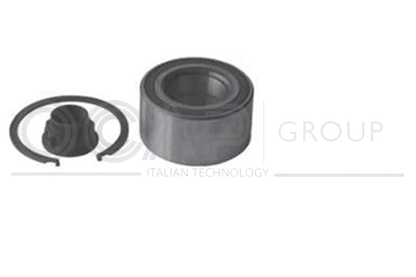 Wheel Bearing Kit (6120181)