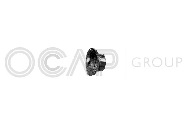 Mounting, control/trailing arm (1215212)
