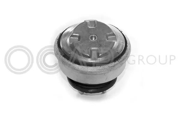 Mounting, engine (1225300)