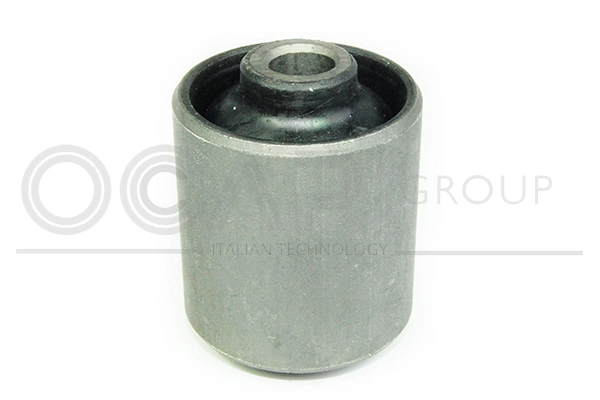 Bushing, axle beam (1216436)