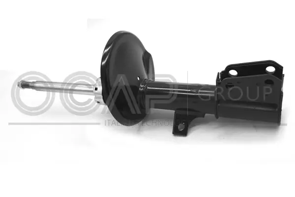 Shock Absorber (82295FL)