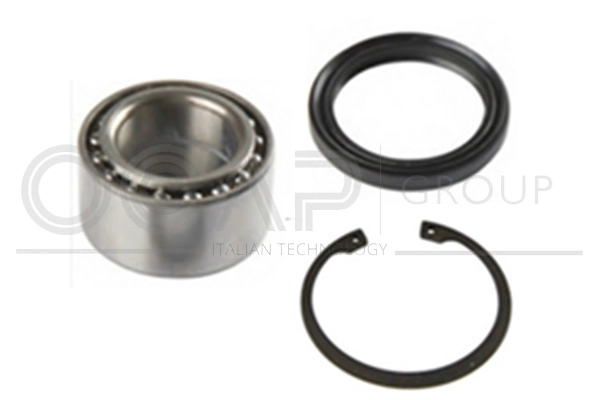 Wheel Bearing Kit (6120441)