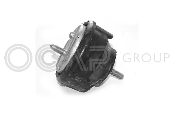 Mounting, engine (1225109)