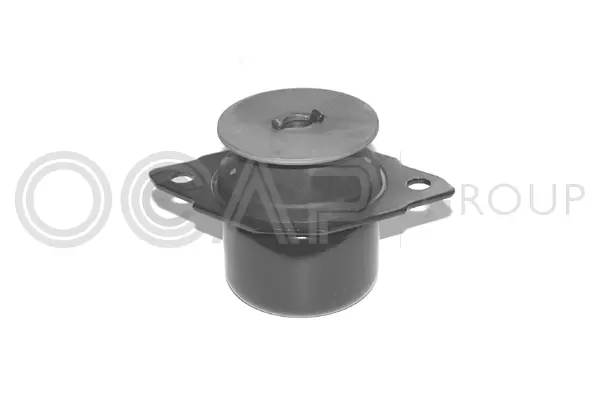 Mounting, engine (1225530)