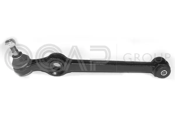 Control/Trailing Arm, wheel suspension (0300003)