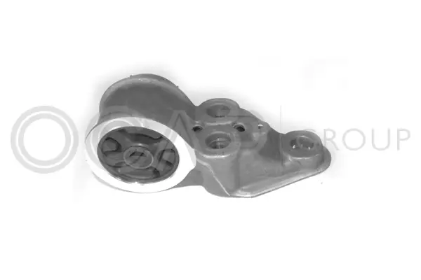 Bushing, axle beam (1249595)