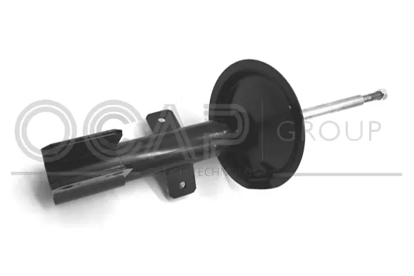 Shock Absorber (82074FU)