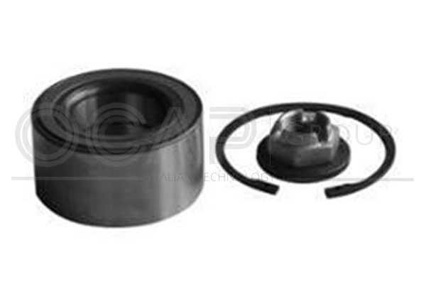 Wheel Bearing Kit (6120438)