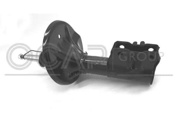 Shock Absorber (82453FR)