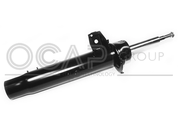 Shock Absorber (82566FR)