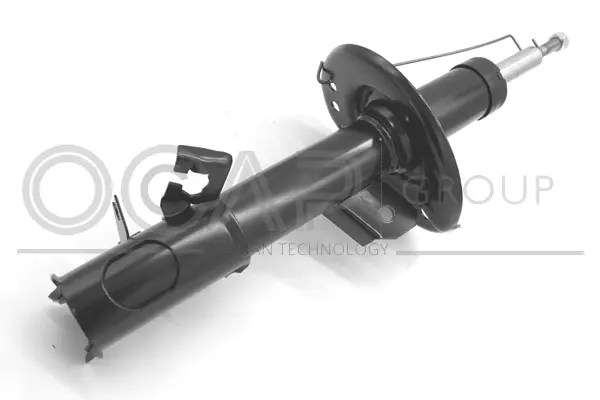Shock Absorber (82217FR)