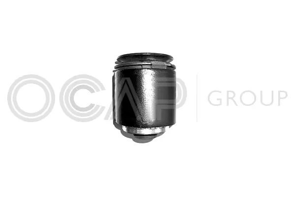 Mounting, control/trailing arm (1215775)