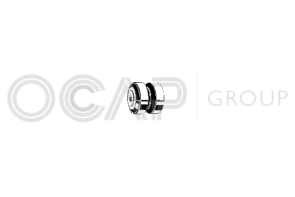 Mounting, control/trailing arm (1215019)