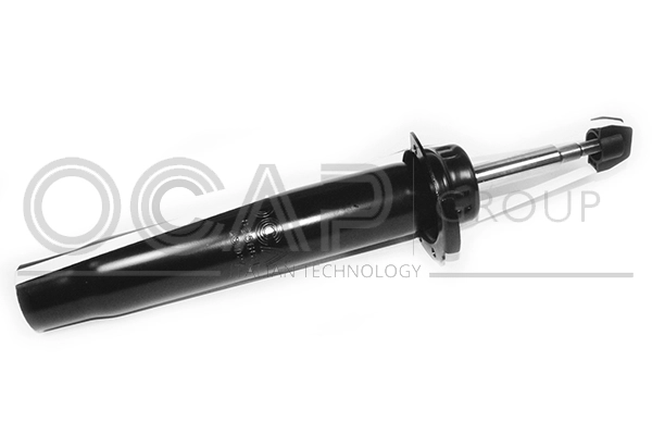 Shock Absorber (82566FL)